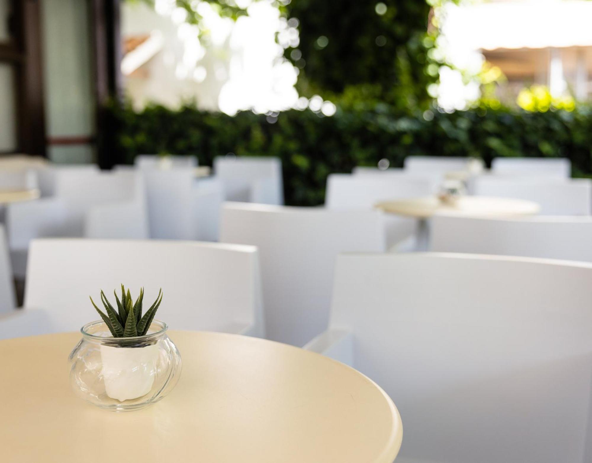 Hotel Buona Fortuna Μπελάρια-Ιτζέα Μαρίνα Εξωτερικό φωτογραφία